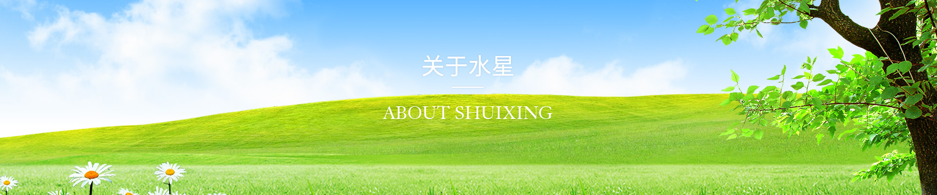 about-banner