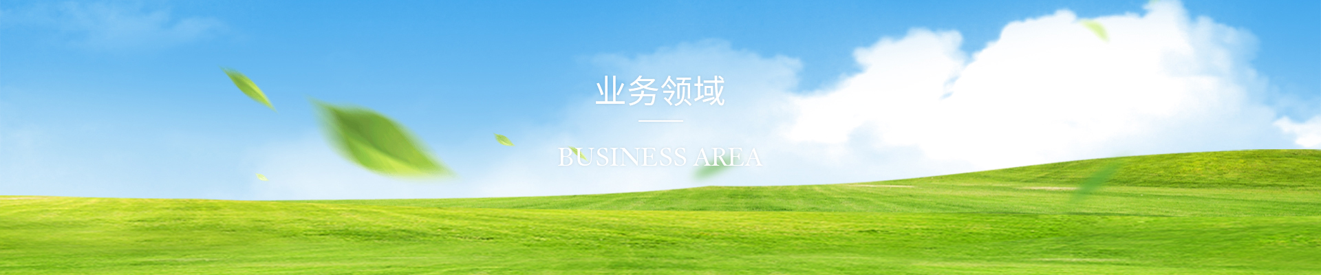 business-banner
