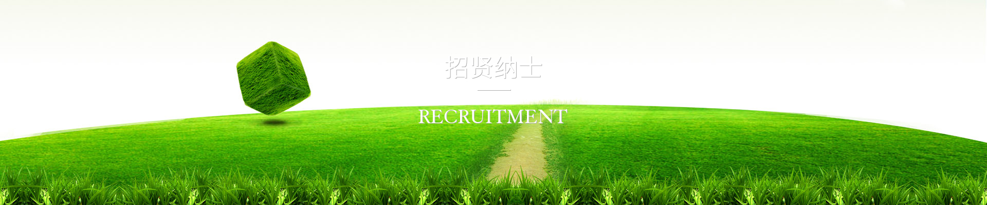 job-banner